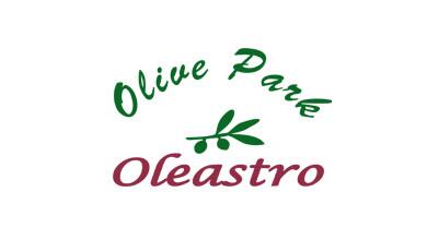 Olive Oil Museum Logo