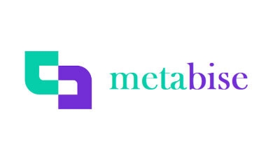 Metabise Logo