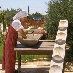 Oleastro Traditional Olive Oil Museum