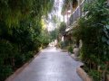 Cyprus Hotels: Columbia Beach Resort Pissouri - Gardens