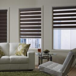 Aplha Blinds Zebra Blinds