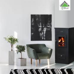 Wood Burning Stoves