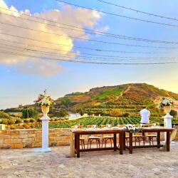 Ktima Gerolemo Winery Wedding Vines View