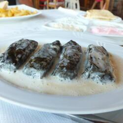 Stuffed Vine Leaves At Tonys Cyprus Tavern