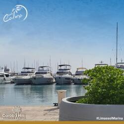 Cafe Calma By The Sea Limassol Marina