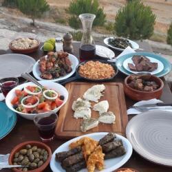 Agios Epiktitos Tavern Traditional Cypriot Meze