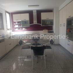 Landbank Properties 4 Bedroom Apartment In Aglantzia Kitchen