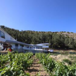 House In Troodos Kyperounta Vineyard View