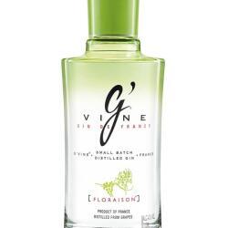 Gin Gvine