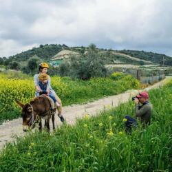 Golden Donkeys Rides