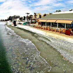 La Isla Resto Beach Bars In Limassol