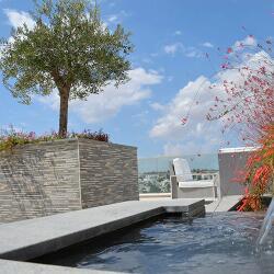 Sienna Gardens Development Roof Garden