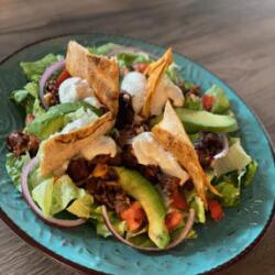 Elysian Restaurant Vegan Dishes Mexican Salad