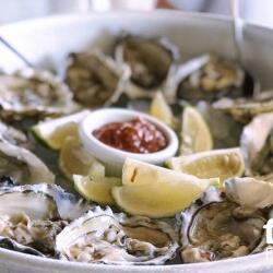 Fat Fish Restaurant Oysters