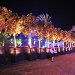 Audiovisual Services Event Lighting Services