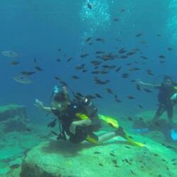 Green Bay Diving Site