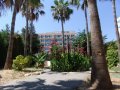 Cyprus Hotels: Navarria Hotel - Gardens