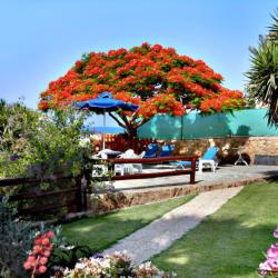 Rododafni Beach Apartments Gardens