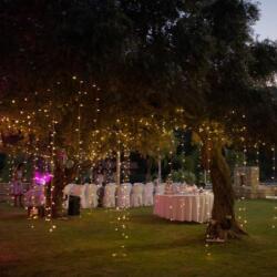 Sans Frontieres Partner Venues Event Di In Limassol For Wedding Corporate Events And Parties