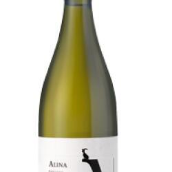 Vouni Panayia Wines Alina Xynisteri