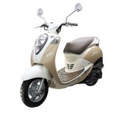 Petrides Rentals Scooter Rentals