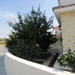 Skitsas Estates Detached House For Rent Mosfiloti 2