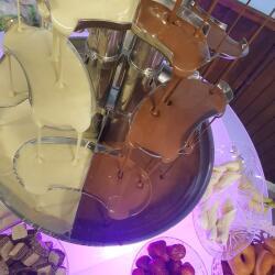 Double Chocolate Fountain For Any Occasion
