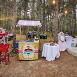 Rentals Of Ice Cream Cart Pop Corn Cart Chocolate Fountain For Your Special Events