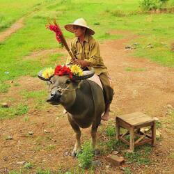 Christina Drakos Photography Project Colors Of Vietnam