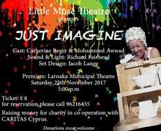 Just Imagine - Little Muse Theatre