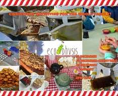 Cyprus Event: Christmas activities for the whole family