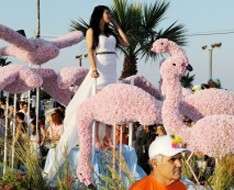 Cyprus Event: Anthestiria - Larnaka Flower Parade