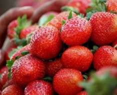 Cyprus Event: 11th Deryneia Strawberry Festival 2018