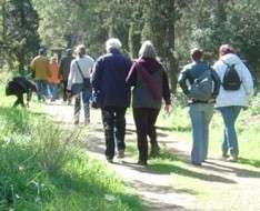 The Cyprus Strollers