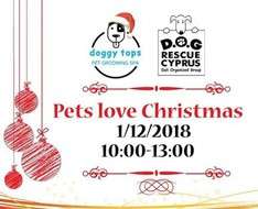 Pets Love Christmas