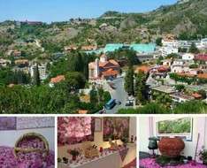 Cyprus Event: 13th Rose Festival - May 2019