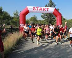 Cyprus Event: Eurolife Run the Park with Us - 3.11.2024