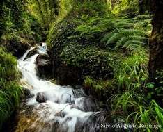 Outdoor Photography Workshop in the Paphos - Troodos Forests