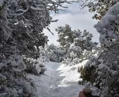 Greek Mountaineering Club of Nicosia