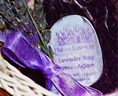 Cyprus Event: Lavender Festival - Rural Festivals 2017